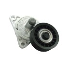 Galet tendeur courroie d'accessoire Cougar Focus Mondeo Transit/Tourneo 1073096