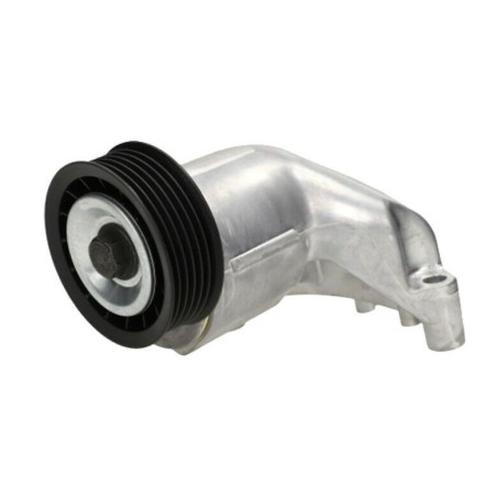 Galet Tendeur de courroie d'accessoire Focus 1.4 1.6 1100699 1072315 1114737