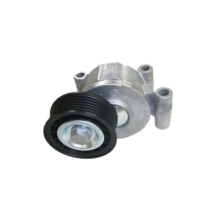 Tendeur courroie d'accessoire Ford Focus C-MAX Volvo C30 S40 II V50 31493378