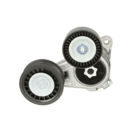 Galet Tendeur de courroie d'accessoire Ford Focus C-MAX 1.8 TDCi 1352451 1367254