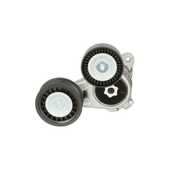 Galet Tendeur de courroie d'accessoire Ford Focus C-MAX 1.8 TDCi 1352451 1367254