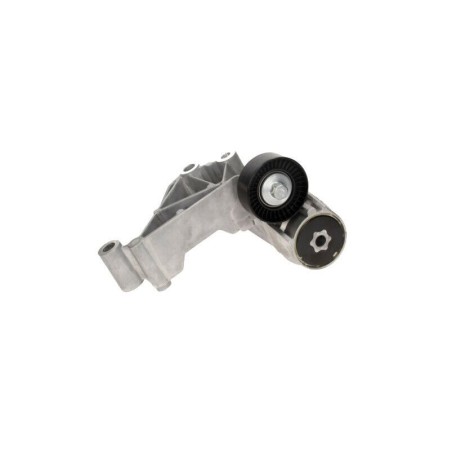 Galet Tendeur de courroie d'accessoire Focus Transit 1133988 1069359 1473384
