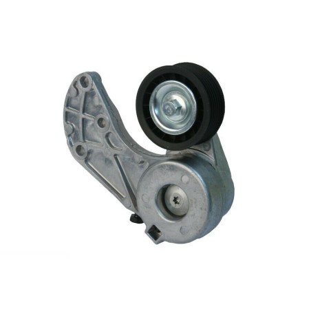 Galet Tendeur de courroie d'accessoire Audi Q7 Cayenne VW Touareg 022145299E