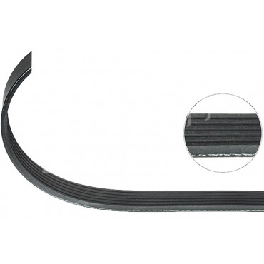 Courroie d'Accessoire Pour Audi A1 A3 Q3 Tt Citroën Zx Xsara C4 C3 C2 03L903137G