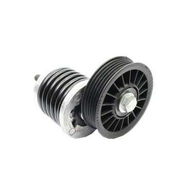 Galet Tendeur de courroie d'accessoire Audi A4 A6 VW Passat 1.9 TDI 028903315M