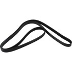 Courroie d'Accessoire Pour Audi 80 A6 A8 Bmw Série 1 E81 E87 3 E46 078903137AN
