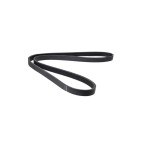 Courroie d'Accessoire Pour Opel Astra G H Combo Corsa C Meriva A 5519005