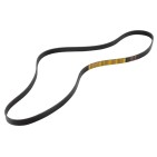 Courroie d'Accessoire Pour Bmw X5 E70 X6 E71 E72 Ford Focus I 96350548 96309968