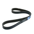 Courroie d'Accessoire Pour Citroën C1 Ford Transit Tourneo Connect S-Max 5750QH