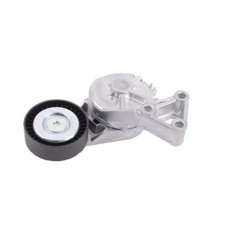 Galet tendeur courroie d'accessoire A3 Galaxy Leon Bora Golf Jetta 038903315AE