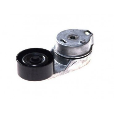 Galet Tendeur de courroie d'accessoire LT (2D) 062145299A