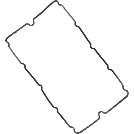 Joint de Cache Culbuteur Pour Citroën Jumper II Fiat Ducato Ford Transit 1099778