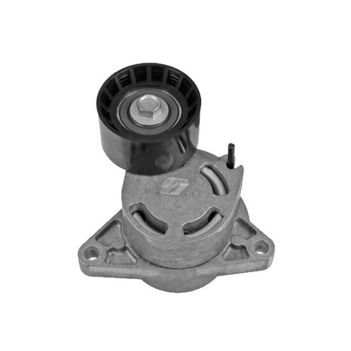Galet Tendeur de courroie d'accessoire Interstar Movano Master Vivaro A 93198650