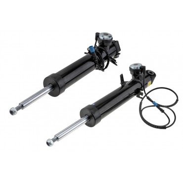 x2 Amortisseur Arrière Gauche+Droit Pour Bmw X5 F15 F85 X6 F16 F86 33527856495