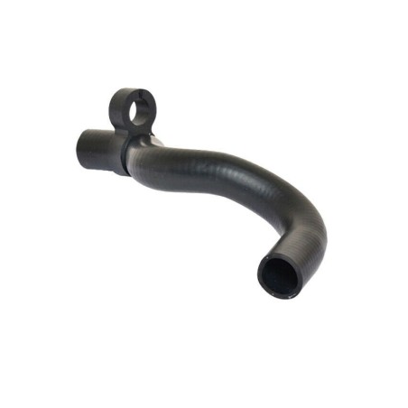 Tuyau Durite de Refroidissement Renault Clio II Kangoo Thalia 1.4 1.6 7700834886
