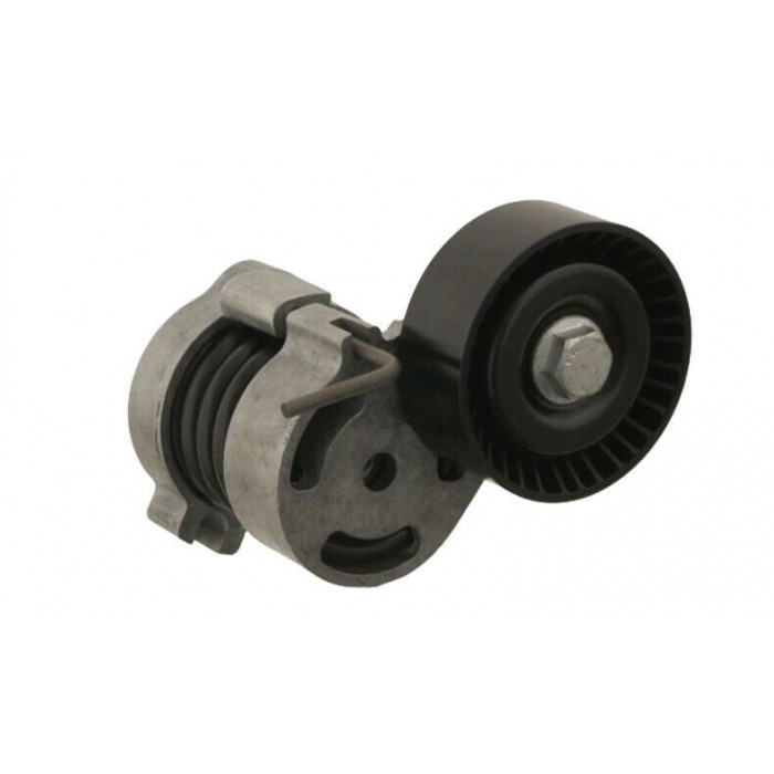 Tendeur de Courroie d'Accessoire Pour Bmw Série 1 E81 3 E46 5 E60 11287516897