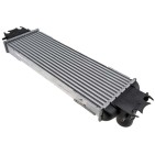 Intercooler Pour Nissan Primastar Opel Vivaro A Renault Trafic II 7700312903