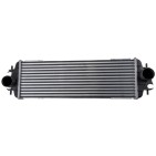 Intercooler Pour Nissan Primastar Opel Vivaro A Renault Trafic II 7700312903