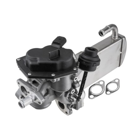 Vanne EGR avec Refroidisseur Pour Audi A4 A5 A6 Q5 Seat Exeo 03L131512BG
