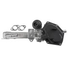Vanne EGR avec Refroidisseur Pour Audi A4 A5 A6 Q5 Seat Exeo 03L131512BG