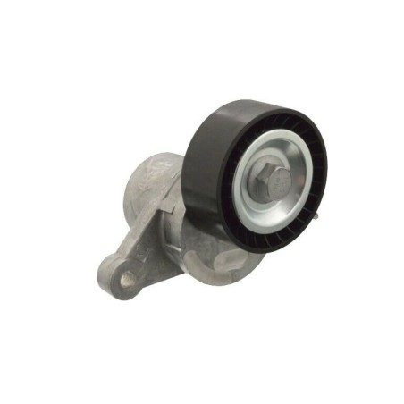 Galet Tendeur de courroie d'accessoire Berlingo C3 DS3 DS5 2008 508 I 1611426580