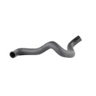 Tuyau de Radiateur Pour Ford Focus I 1.4 1.6 16V 1998-2004 1061217 1076923
