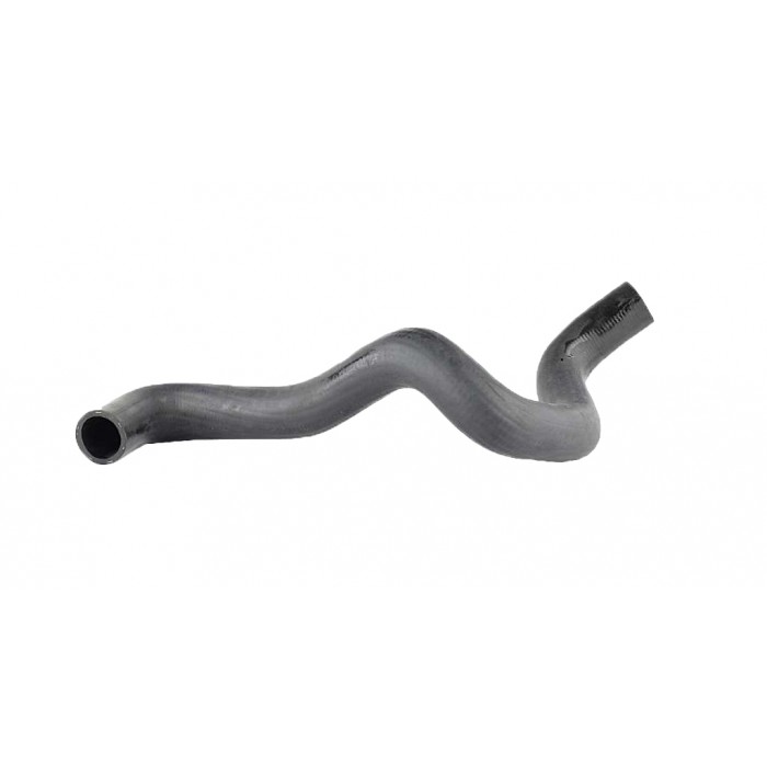 Tuyau de Radiateur Pour Ford Focus I 1.4 1.6 16V 1998-2004 1061217 1076923