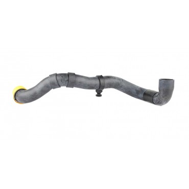 Tuyau de Radiateur Pour Mercedes Classe C W203 CL203 S203 2035012882 A2035012882