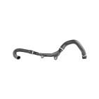 Tuyau de Radiateur Pour Citroën Jumper II Fiat Ducato Peugeot Boxer 1343JP
