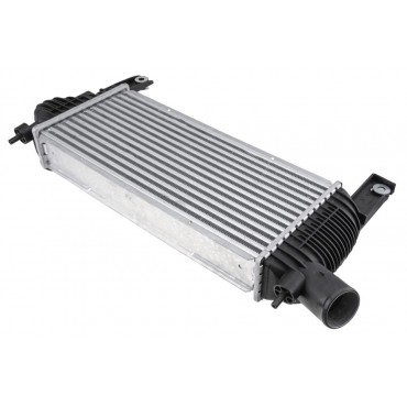 Intercooler échangeur d'Air Pour Nissan Navara Np300 Pathfinder III 14461EB360