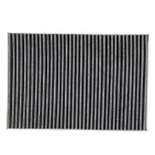Filtre Habitacle Pour Audi A4 A6 Seat Exeo 4B0819439C 8E0819439C 4B0819439B