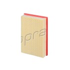 Filtre à Air Pour Bmw Série 7 E65 E66 E67 730 i 750 i 13717505007 13717256008