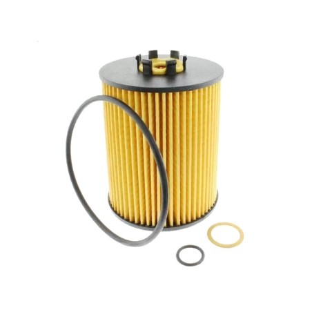 Filtre à Huile Pour Bmw Série 5 E60 6 E63 E64 7 E65 E66 E67 X5 E70 11420396940