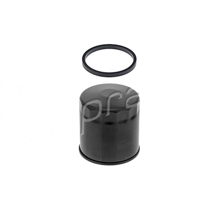 Filtre à Huile Pour Nissan Pathfinder III Renault Scénic III Megane 8200893554