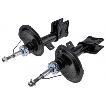 x2 Amortisseur Avant Gauche+Droit Pour Citroën C4 I Peugeot 307 5202SK 5202QH