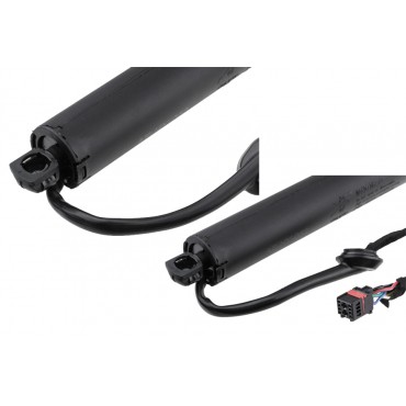 x2 Vérin de Coffre Gauche+Droit Pour Hyundai Santa Fe IV 81841S1100 81850S1100