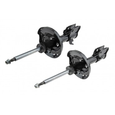 x2 Amortisseur Avant Gauche+Droit Pour Subaru Legacy IV 20310AG011 20310AG4409L