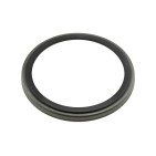 Anneau ABS Pour Renault Espace IV Laguna II Scénic II Vel Satis