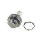 Rotule de Suspension Avant inférieur Pour Nissan Navara Pathfinder 40160EA00A