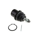 Rotule de Suspension Avant inférieur Pour Lexus Ls 2006-2012 4320259075