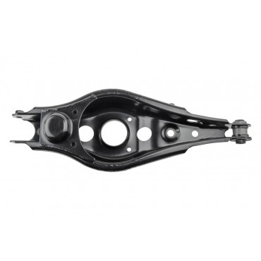 Bras de Suspension Arrière Gauche Pour Toyota Rav 4 III 4874042020 4873042050