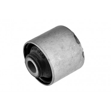 Silent Bloc de Bras de Suspension inférieur Pour Daihatsu Terios 4872787404000