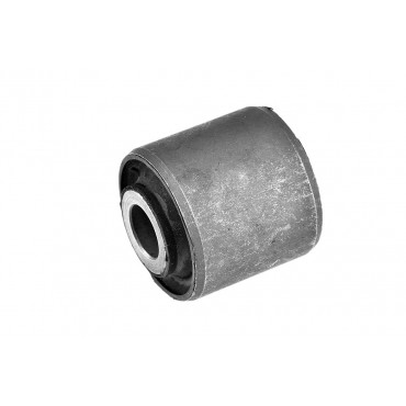 Silent Bloc de Bras de Suspension Arrière Pour Ssangyong Actyon I 4432521001
