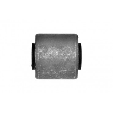 Silent Bloc de Bras de Suspension Arrière Pour Ssangyong Actyon I 4432521001
