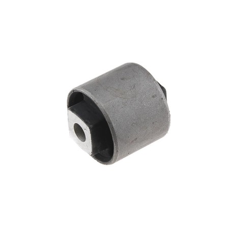 Silent Bloc de Bras de Suspension Arrière Pour Land Rover Freelander I RGX101000