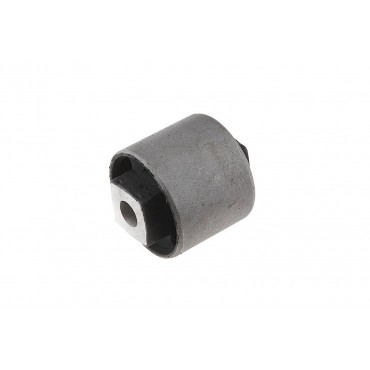 Silent Bloc de Bras de Suspension Arrière Pour Land Rover Freelander I RGX101000
