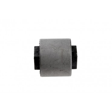 Silent Bloc de Bras de Suspension Arrière Pour Land Rover Freelander I RGX101000
