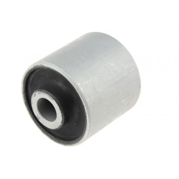 Silent Bloc de Bras de Suspension Arrière Pour Land Rover Freelander I RGX101030