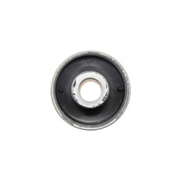 Silent Bloc de Bras de Suspension Arrière Pour Land Rover Freelander I RGX101030