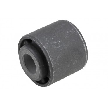 Silent Bloc de Bras de Suspension Arrière Pour Ford C-Max Focus I II 1061668